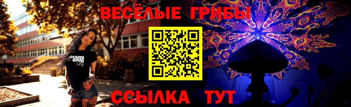 Знаменск  Псилоцибиновые грибы Cubensis  Псилоцибиновые грибы ЛСД  где продают   Вход с VPN 