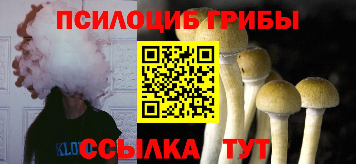 Галлюциногенные грибы GOLDEN TEACHER Знаменск